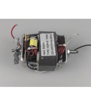 Двигун HC-9435 для соковижималки Clatronik AE-3150 Liberton Saturn Alpari